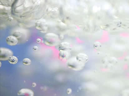 programme-vie-scientifique