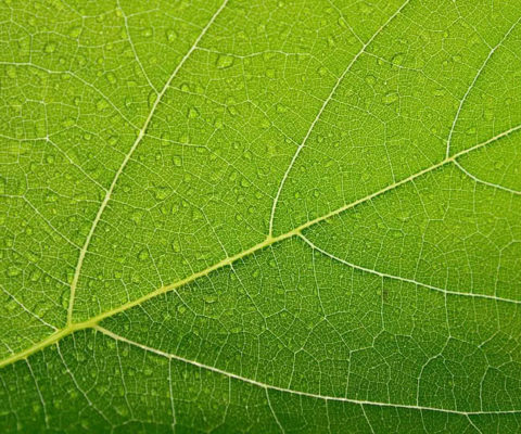 Imaginer la transition énergétique