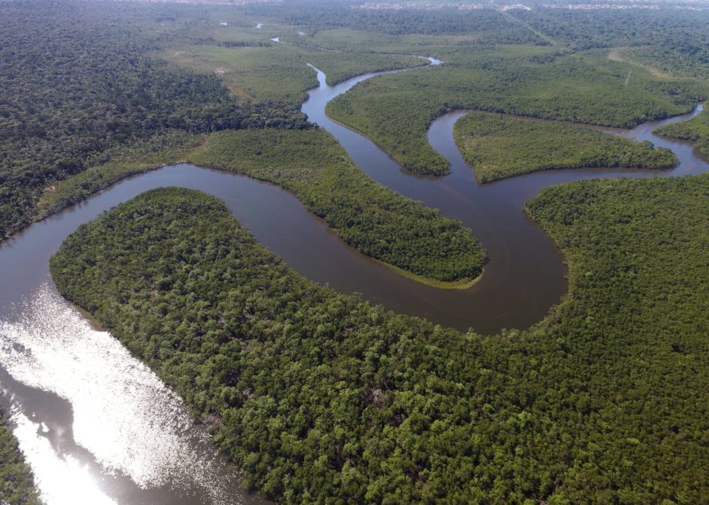 actu-nov18-environnement--amazonie