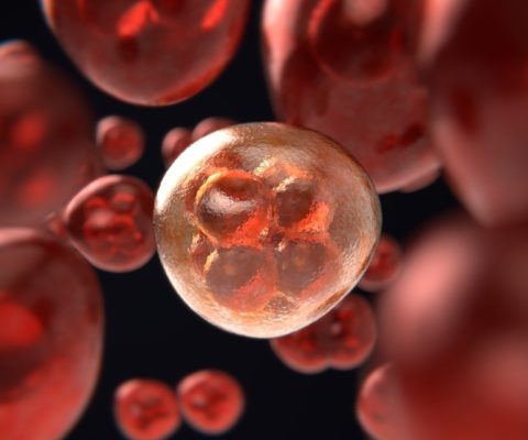 Quand la physique rencontre la biologie