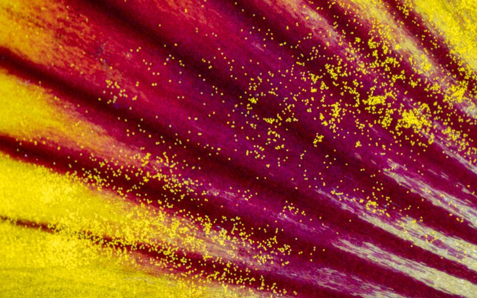 Découvrez le rapport d’activité 2024 de la Fondation